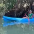 Damas mangroves Kayak