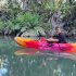 Damas mangroves Kayak