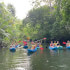 Damas mangroves Kayak