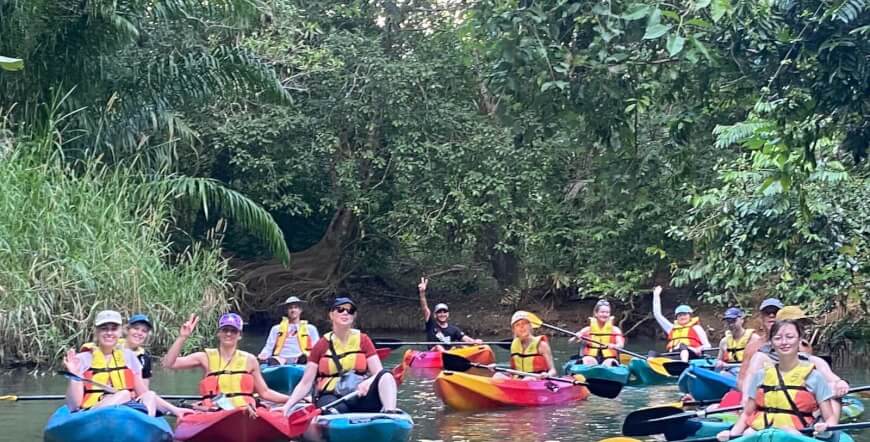 Damas mangroves Kayak