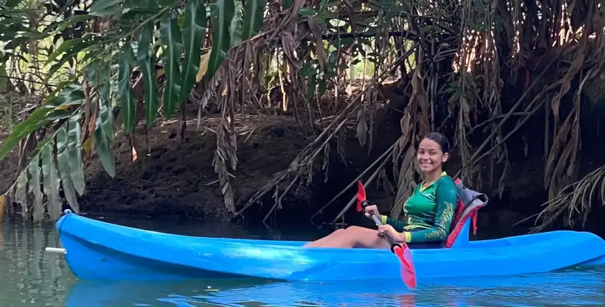 Damas mangroves Kayak