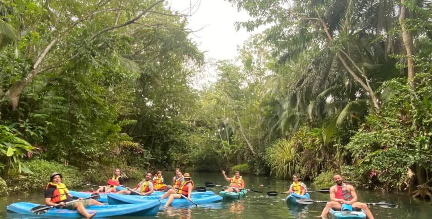 Damas mangroves Kayak