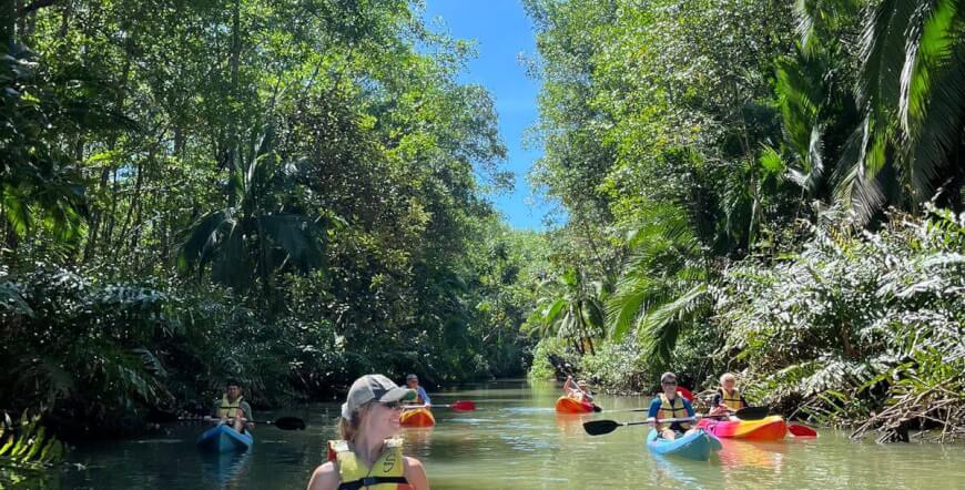 Damas mangroves Kayak